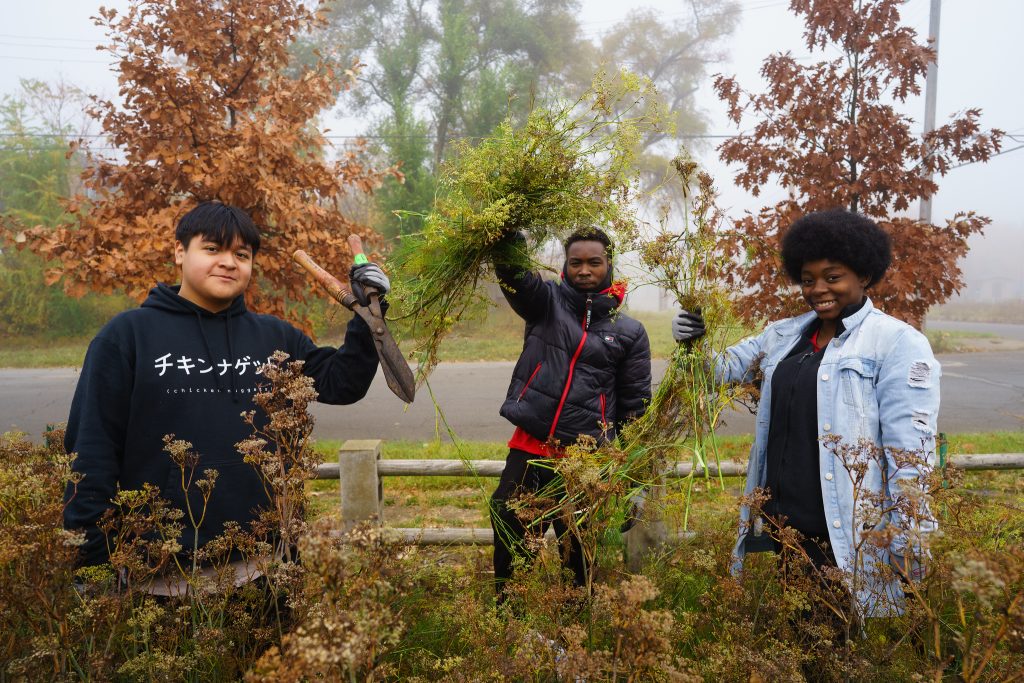 Detroit students helped prepare community gardens for the winter this fall. These gardens help improve the local environment and store carbon.