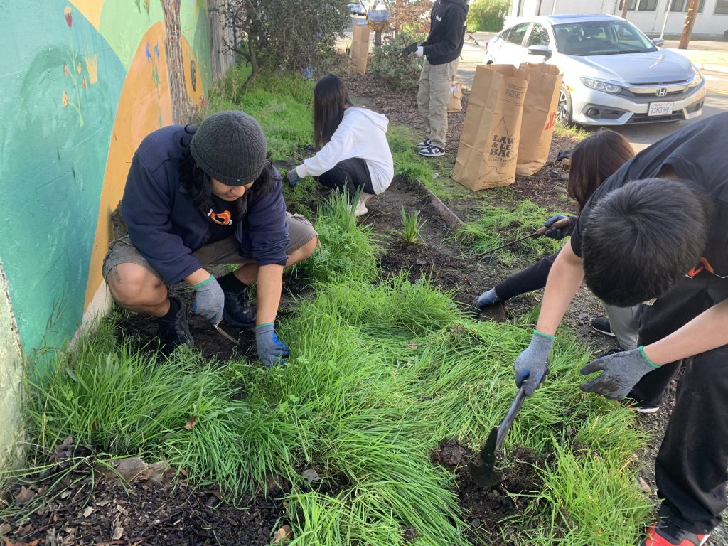 In Oakland, students helped clean up a local park, Jingletown. 