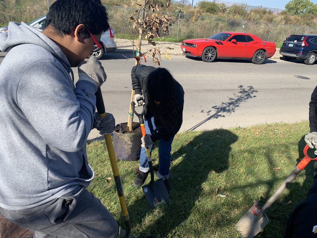 buildOn Chicago students from Curie High School helped plant carbon dioxide-removing trees in a local park.