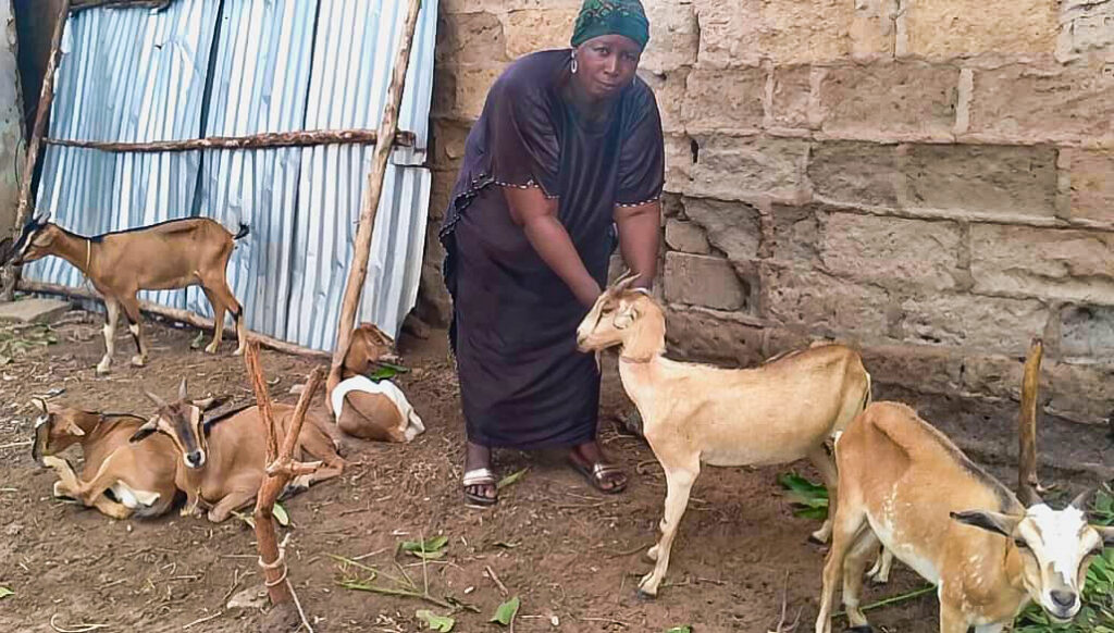 Adult Literacy participants receive seed capital to start their own businesses, like animal husbandry.
