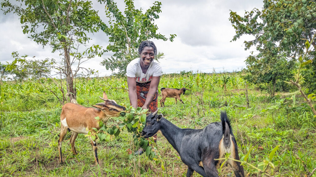 Felezina used the money from the community savings group to invest in growing her goat herd.