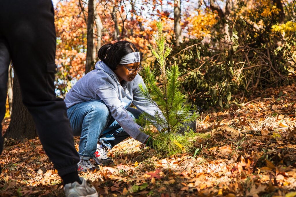 buildOn students in the Bronx plant trees alongside the Bronx is Blooming.
