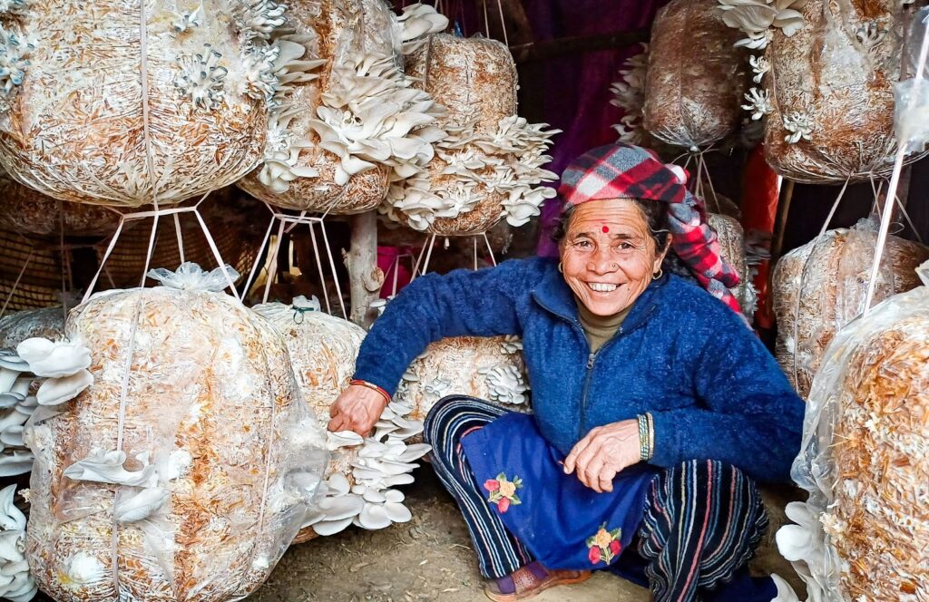 Mushroom farming is a growing industry in Nepal, serving as a valuable source of income for people like this woman in Srijana Tole.
