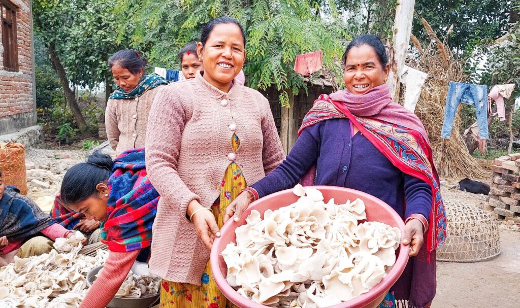 Adult Literacy Program participants in Ghusari were able to grow 240kg of mushrooms, selling them for over 20,000 rupees.