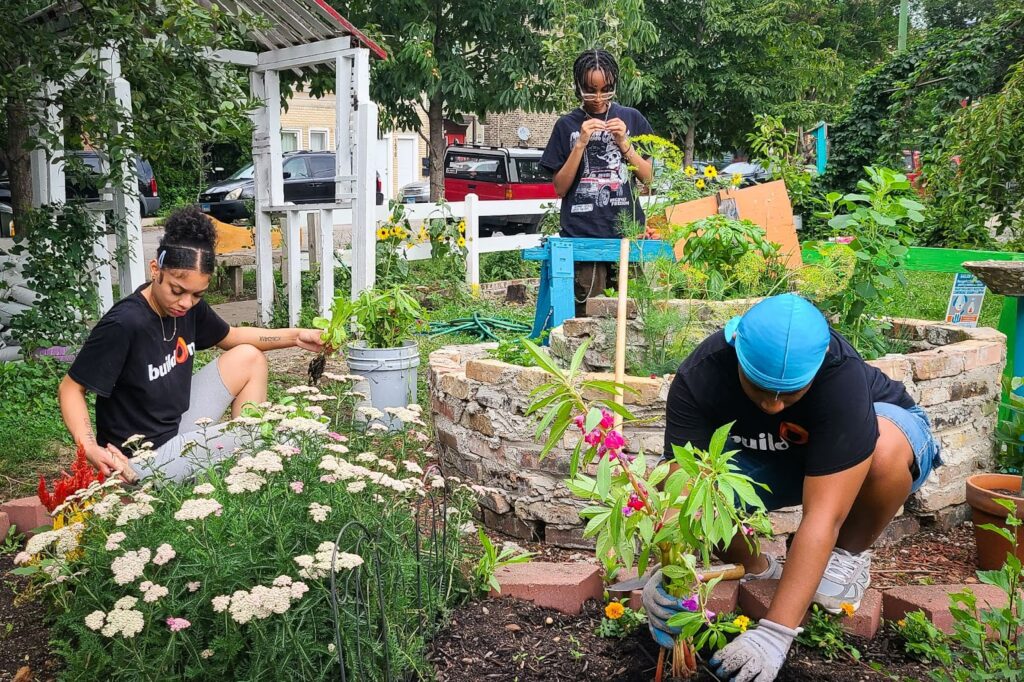 buildOn students help plant at La Huerta Roots and Rays community garden in Pilsen.