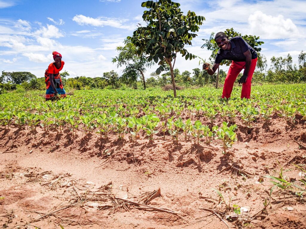Through learning organic fertilizer production, the people of Ndatuwa have been able to increase their crop yields while protecting their local environment.